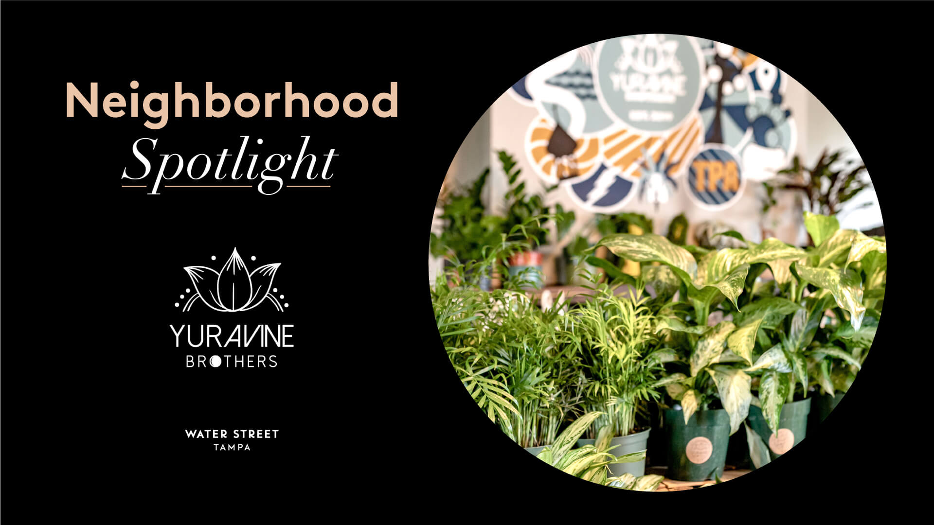 Yura Vine Brothers graphics for Neighborhood Spotlight event